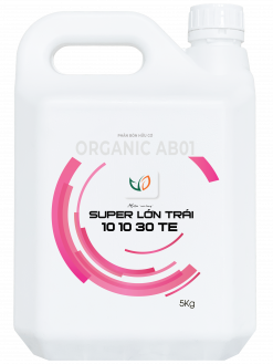 SUPER LỚN TRÁI 10.10.30+TE (5KG)