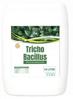 TRICHO BACILLUS (CAN 10 LÍT NHẬP KHẨU)